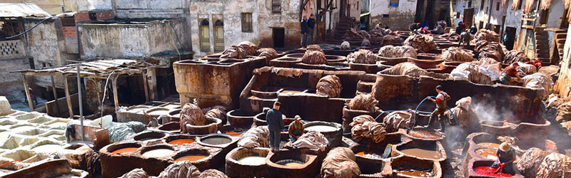 tanneurs fes